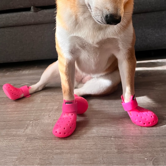 WAGWEAR BOOTS FOR DOGS - Picture 3 of 4